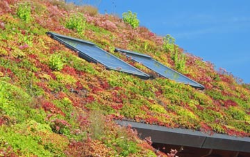 Swallow Beck living roof systems