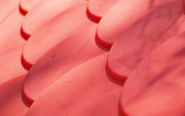 Swallow Beck plastic roof costs